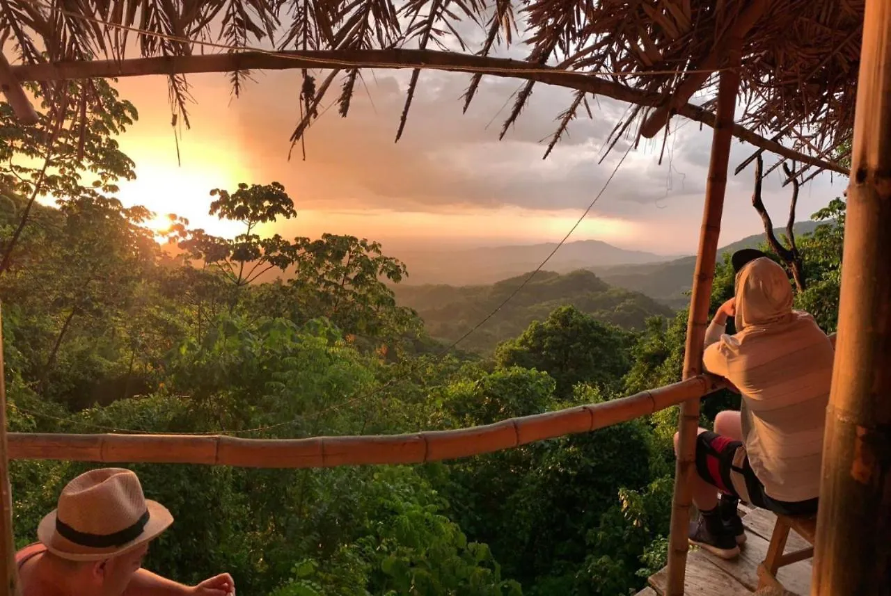 Penzion Jungle Joe Ecolodge