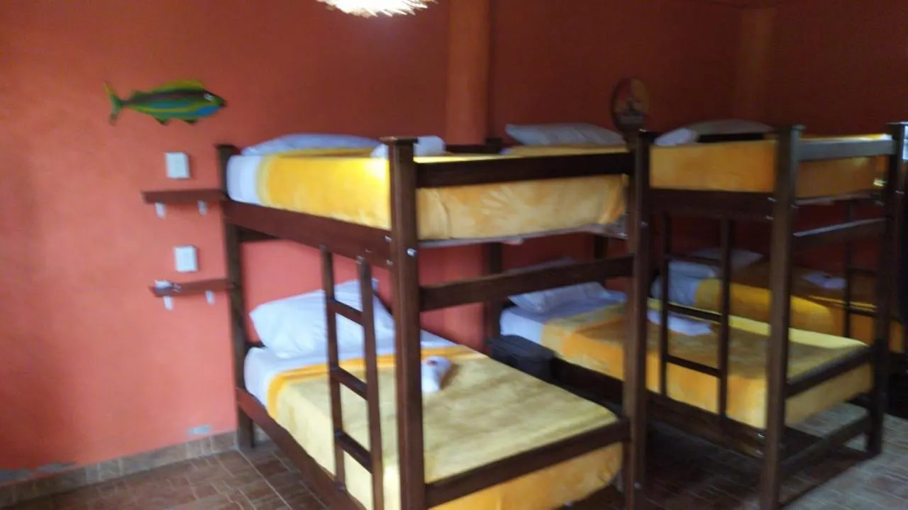 Pensión Jungle Joe Ecolodge