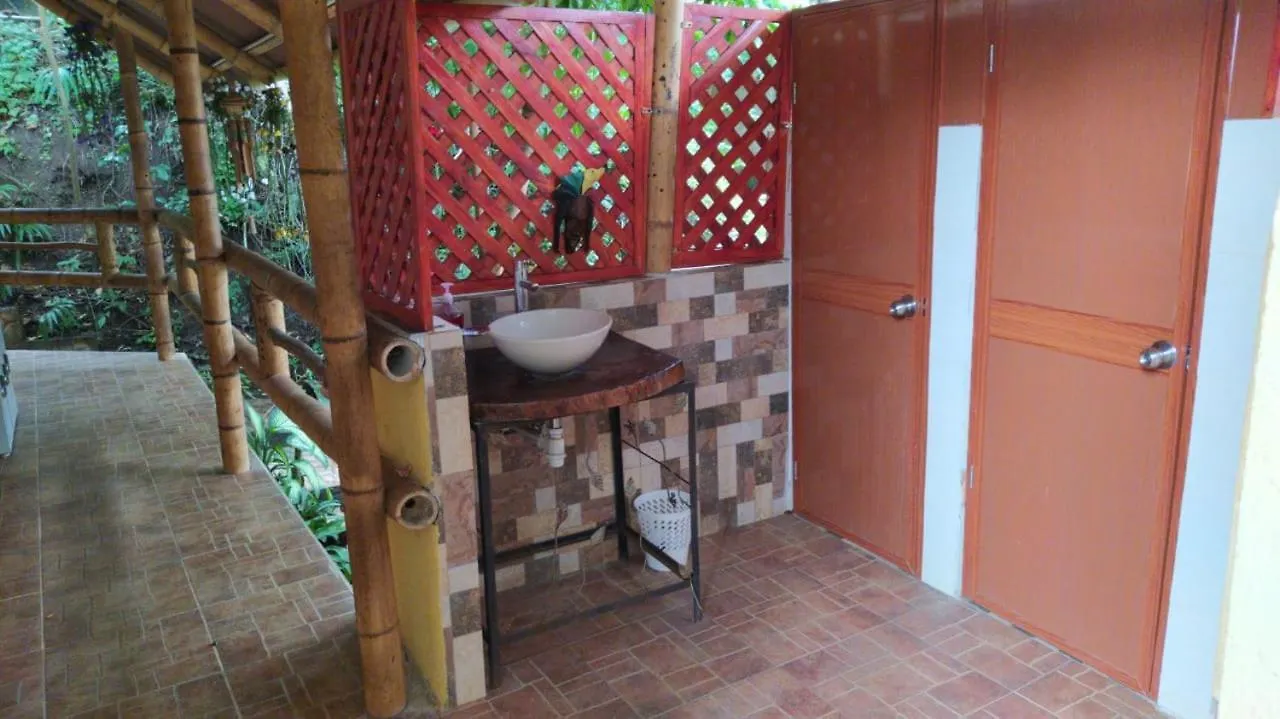 Pensión Jungle Joe Ecolodge